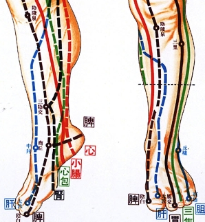 Meridians Qi